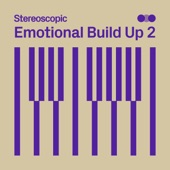 Emotional Build Up 2 artwork
