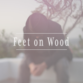 Feet on Wood - Assaf Ayalon