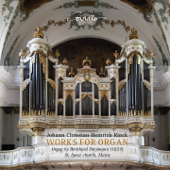 Christian Heinrich Rinck: Works for Organ (Organ by Bernhard Dreymann (1837) St. Ignaz Church, Mainz) - Verschillende artiesten