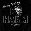 No Harm (feat. 2K Foozie) - Single album lyrics, reviews, download