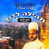 פרק ט"ז-התיקון הכללי artwork