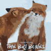 Heard It Through the Gravepine - The Bri Bones