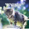 Stream & download Comforting Sounds for Relaxation - Nature & Cat Purring