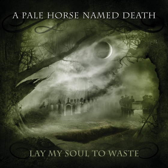 Cover artwork for Dmslt