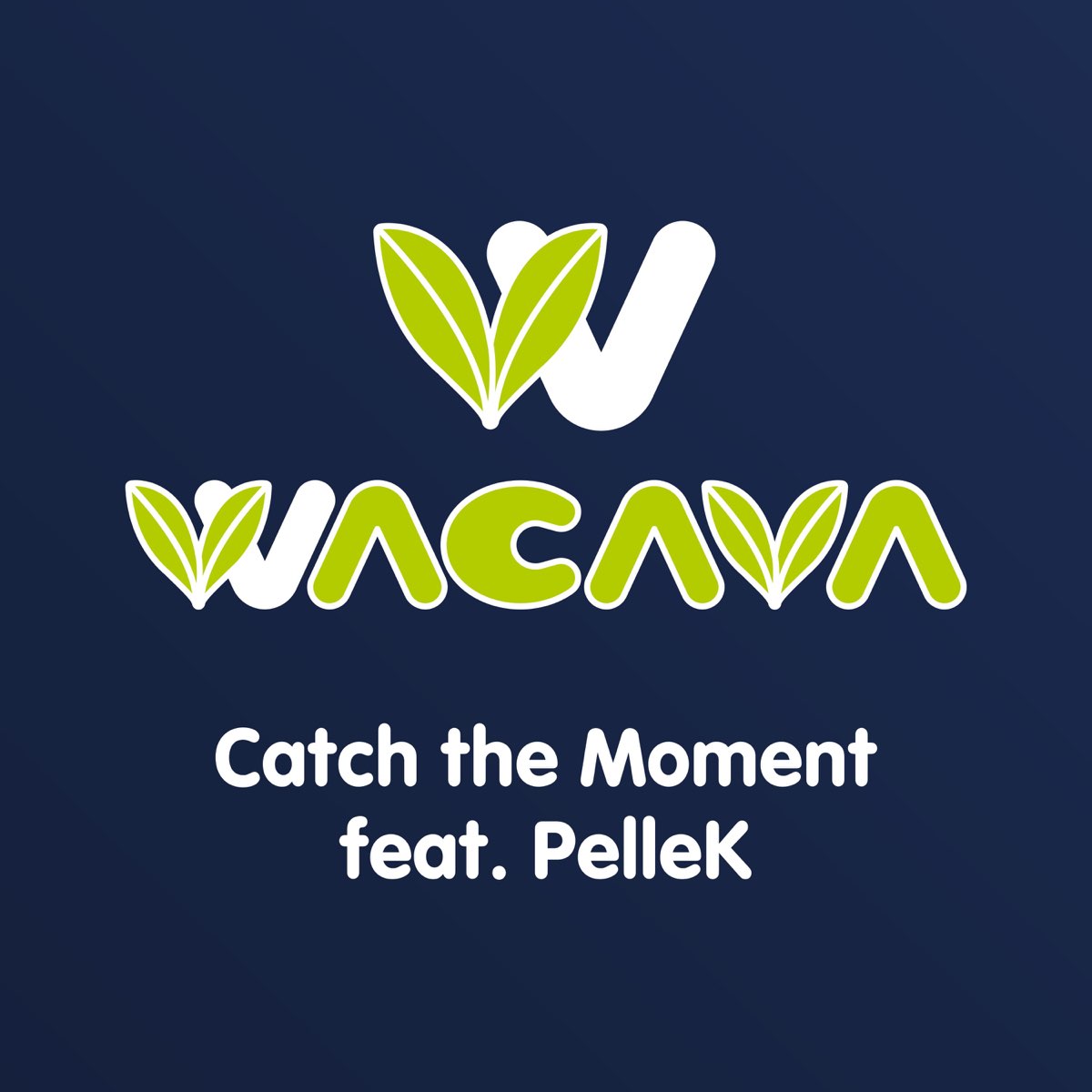 Catch The Moment Feat Pellek Single By Wacava On Apple Music