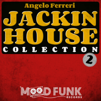 Angelo Ferreri - Jackin House Collection 2 artwork