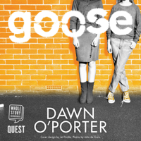 Dawn O'Porter - Goose artwork