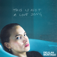Delilah Montagu - This Is Not a Love Song artwork