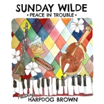 Sunday wilde - Trouble (feat. Harpdog Brown)