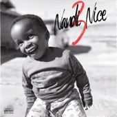 Nandi Nice, Vol. 3 - EP artwork