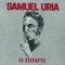 O Muro - Samuel Úria lyrics