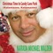 Christmas Time in Candycane Park - Narada Michael Walden lyrics