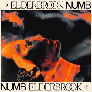 Elderbrook - Numb - Line Dance Music