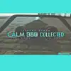 Stream & download Calm but Collected (feat. Chris Rivers & Big Noyd) - Single