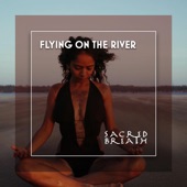 Flying On the River artwork