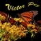 Secluded Waiting - Victor Pez lyrics