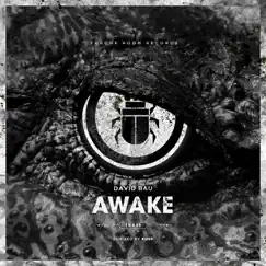 Awake - Single by David Bau album reviews, ratings, credits