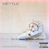 Mettle - What's Left of the Lizard - EP artwork