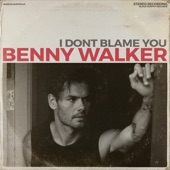 I Don't Blame You artwork