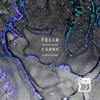 Felix Johansson Carne - Florescence
