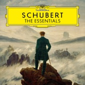 Schubert: The Essentials artwork