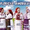 Floricile Bihorului