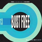 Bust Free 13 artwork