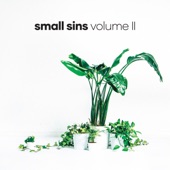 Small Sins - I Used to Be a Better Man