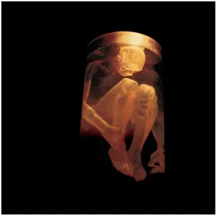 lataa albumi Alice In Chains - Nothing Safe The Best Of The Box