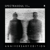 Delay No More (Anniversary Edition) - SpectraSoul