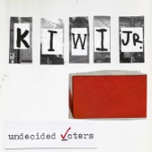 Undecided Voters artwork