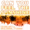 Can You Feel the Sunshine? - Single