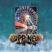 Opp Ned 2019 artwork