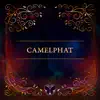 Tomorrowland 31.12.2020: CamelPhat (DJ Mix) album lyrics, reviews, download
