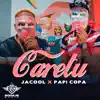 Stream & download Caretu (feat. Papi Copa) - Single