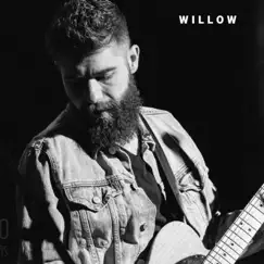Willow - Single by Josh Rabenold album reviews, ratings, credits