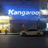 Kangaroo - Single