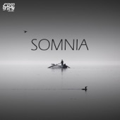 Somnia artwork