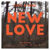 New Love - Single artwork