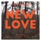 New Love (Club Mix) artwork