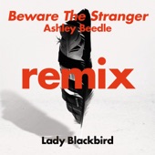 Beware The Stranger (Ashley Beedle's 'North Street West' Radio Edit) artwork