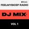FeelMyBicep Radio, Vol. 1 (DJ Mix)