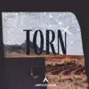 Torn - Single album lyrics, reviews, download