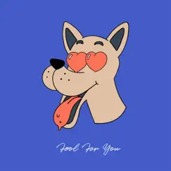 Fool For You - Single by Jafunk, Nic Hanson & NanaBcool album reviews, ratings, credits