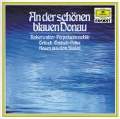 An der schönen blauen Donau, Op. 314 artwork