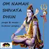 Om Namah Shivay Dhun - Single album lyrics, reviews, download