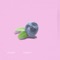 Blueberry - Johnny Stimson lyrics