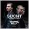 Sucht (feat. Helen Kelly) artwork