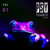 Psytrance Radio, Vol. 01 artwork