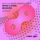 What a Fool Believes (Adri Blok & Paul Parsons Remix) artwork